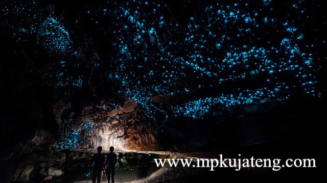 Gua Waitomo Selandia Baru
